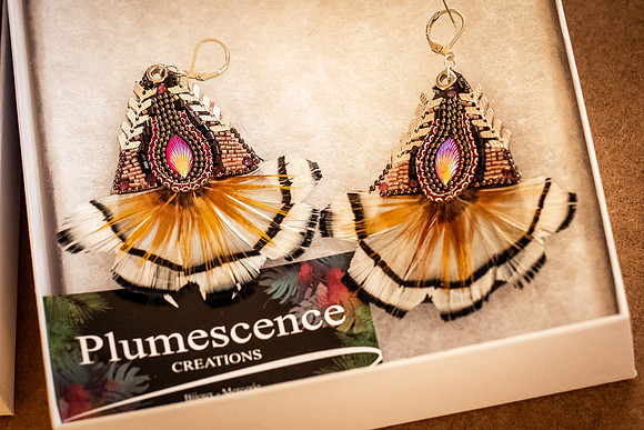 Plumes2019-1008