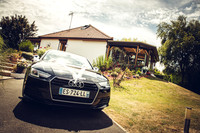 Wedding-1003